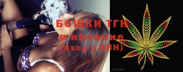 прущие грибы Абаза