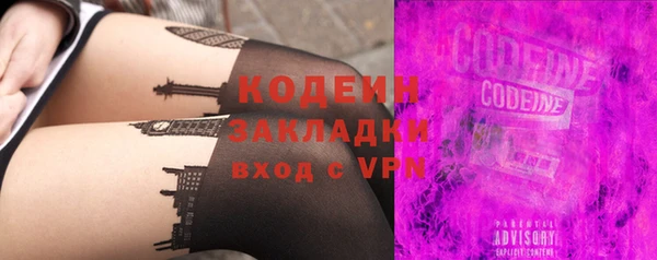 прущие грибы Абаза