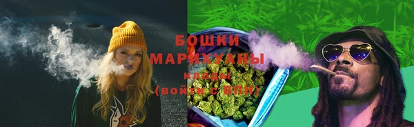 прущие грибы Абаза