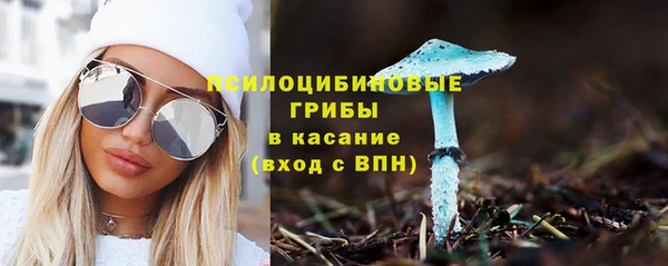 прущие грибы Абаза