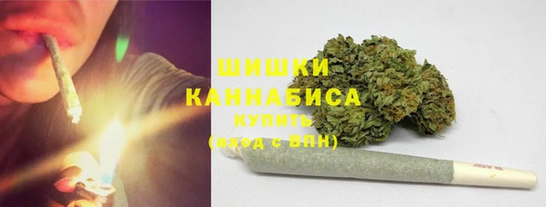прущие грибы Абаза
