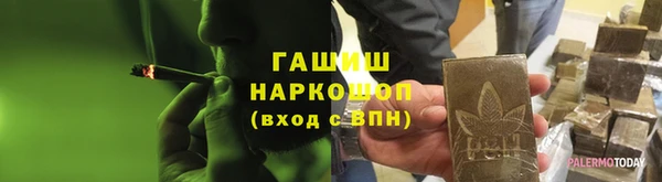 прущие грибы Абаза
