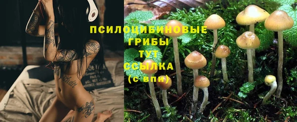 ALPHA PVP Абдулино