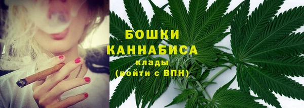 прущие грибы Абаза