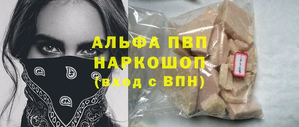 прущие грибы Абаза