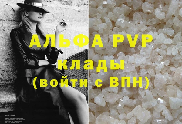 прущие грибы Абаза