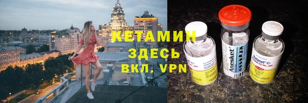 прущие грибы Абаза