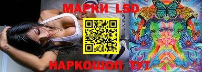 apvp Новодвинск