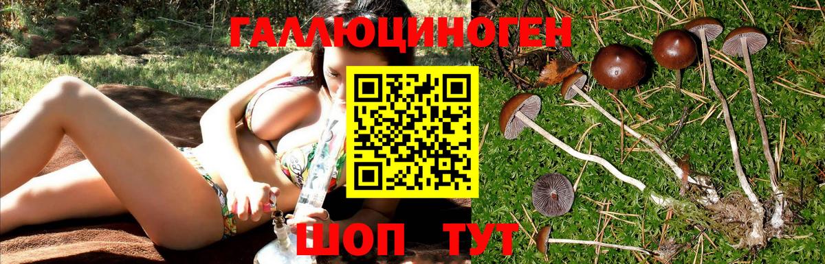 Ялта  Псилоцибиновые грибы Psilocybe  Вход с VPN 